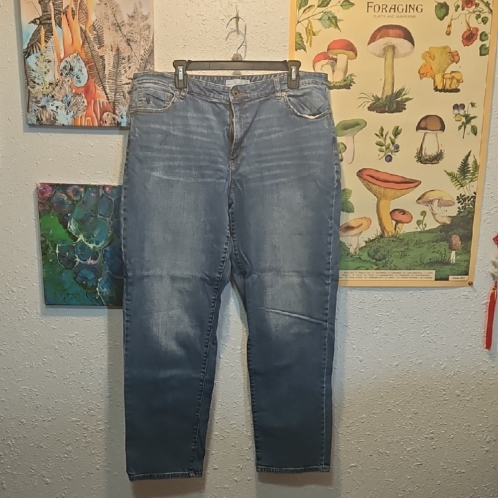 LL Bean Signature Womens Jeans 16R